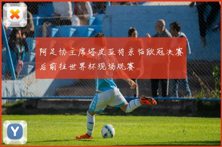 阿足协主席塔皮亚将亲临欧冠决赛后前往世界杯现场观赛